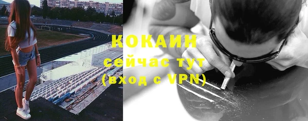 дмт Богородск
