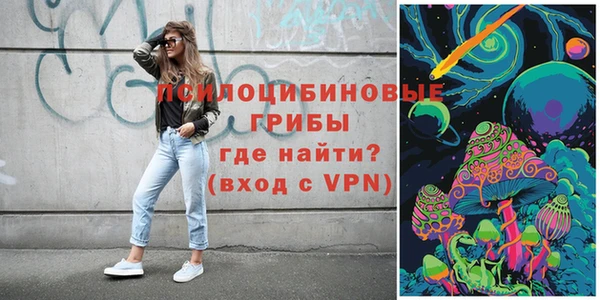 мдпв Богданович