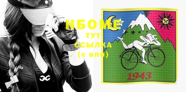 индика Слюдянка