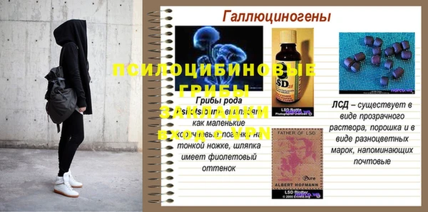 мдпв Богданович