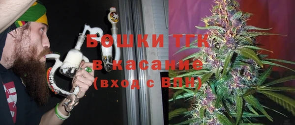 дмт Богородск