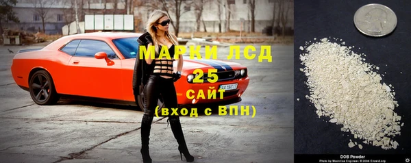 мдпв Богданович