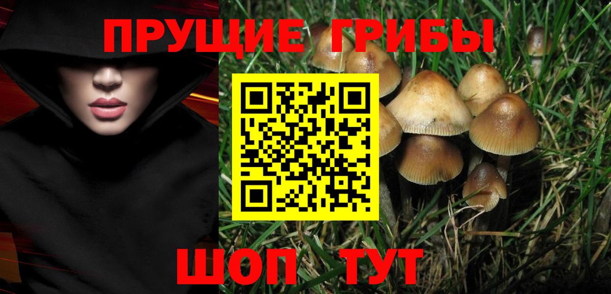 Реж  Псилоцибиновые грибы мухоморы  наркота  Вход с VPN  Псилоцибиновые грибы прущие грибы 